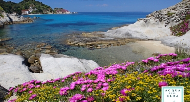 IL PROFUMO PER LA CASA RACCONTA UNA STORIA...