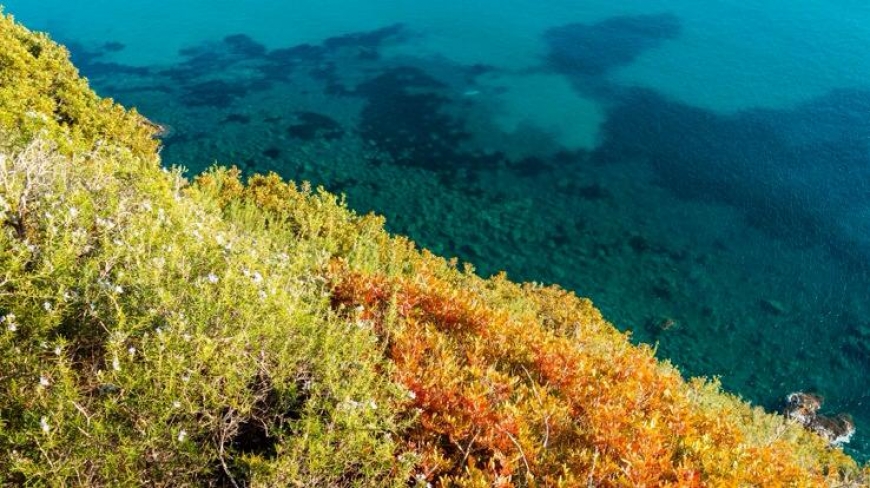 PASQUA NELLA NATURA, VIENI CON NOI SULLA VIA DELL'ESSENZA