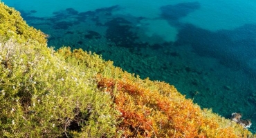 PASQUA NELLA NATURA, VIENI CON NOI SULLA VIA DELL'ESSENZA