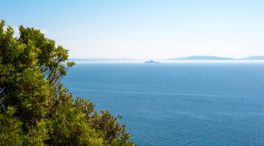 PASSEGGIANDO TRA I PROFUMI D'AUTUNNO, INCONTRIAMO 'ARCIPELAGO'!