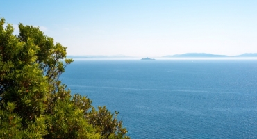 PASSEGGIANDO TRA I PROFUMI D'AUTUNNO, INCONTRIAMO 'ARCIPELAGO'!