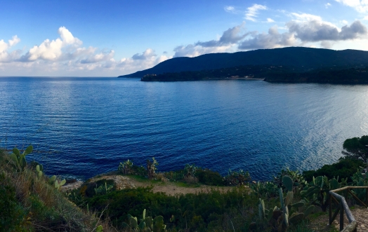 TRACCE DI PARADISO, RITROVATELE IN UN PROFUMO!