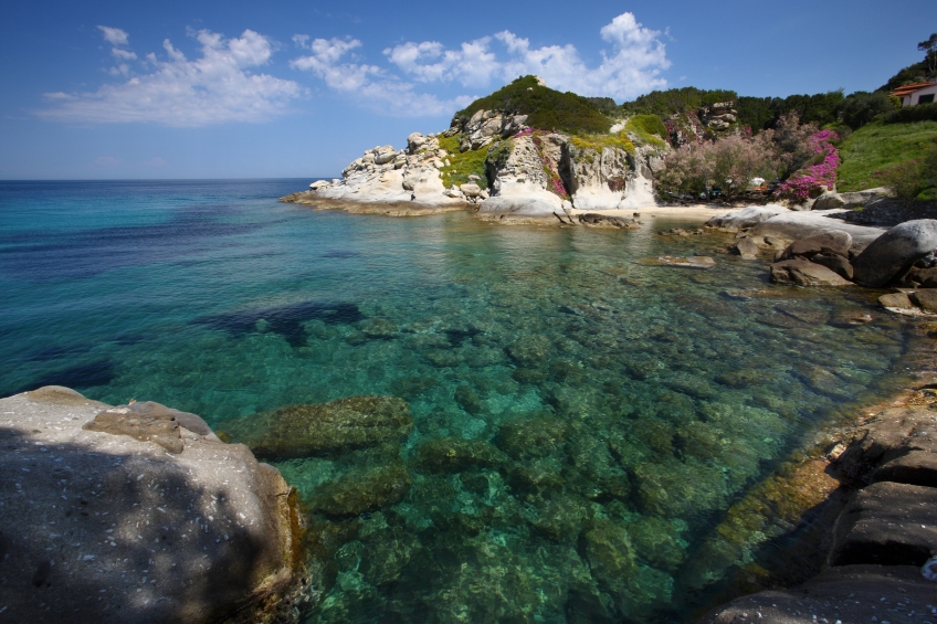 GREEN FRIDAY, DAL CUORE VERDE DI ACQUA DELL'ELBA. 