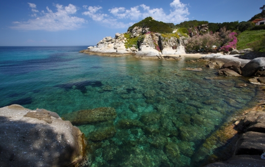 GREEN FRIDAY, DAL CUORE VERDE DI ACQUA DELL'ELBA. 