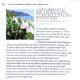 ELBAREPORT - A FESTAMBIENTE...