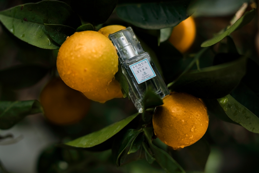 Tiny Scented Presents Under the Tree.