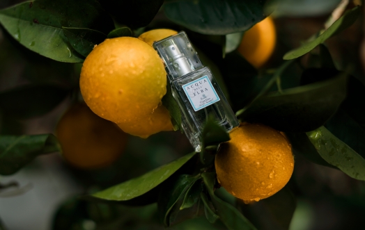 Tiny Scented Presents Under the Tree.