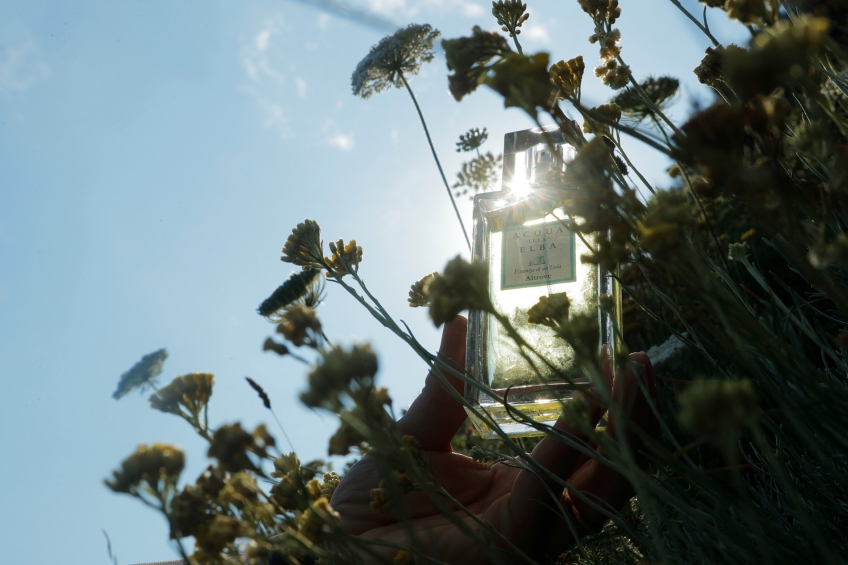 ESCAPING ELSEWHERE (“ALTROVE”), WITH A FILM OR WITH A PERFUME.