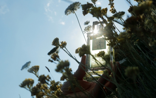 ESCAPING ELSEWHERE (“ALTROVE”), WITH A FILM OR WITH A PERFUME.