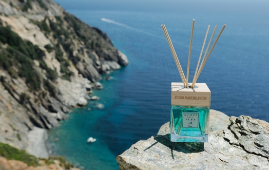 #CONILMARENELCUORE - Aiutiamo  l’Isola d’Elba e l’Italia.