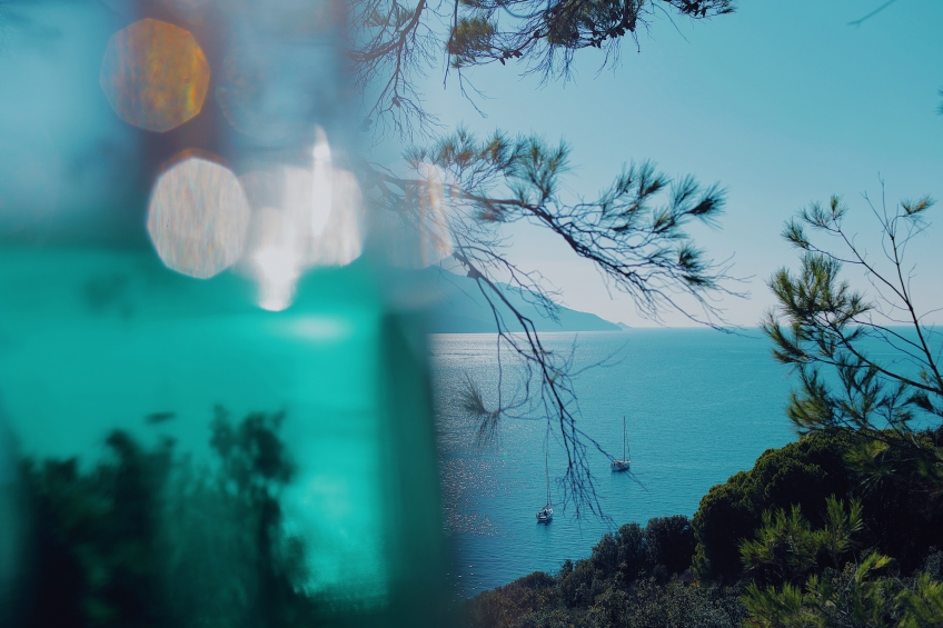 RITORNO ALL'ESSENZA: L'ALFABETO DI ACQUA DELL'ELBA.