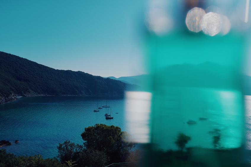 Transparencies of a newly born year