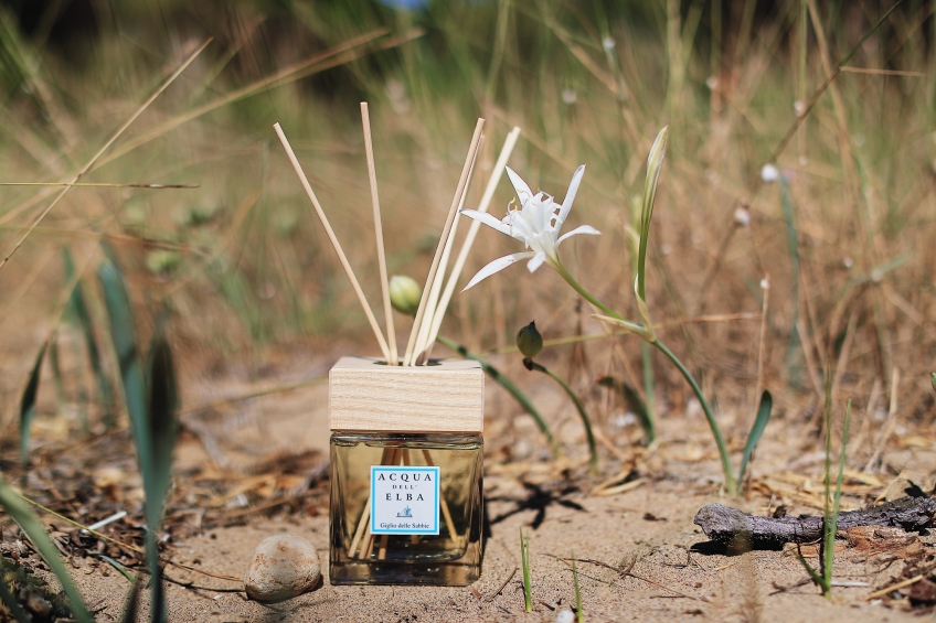 Giglio delle Sabbie, l'enchantement de la vie qui revient nous surprendre