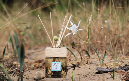 Giglio delle Sabbie, l'enchantement de la vie qui revient nous surprendre