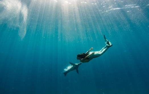 Something to Read in August: "Sirēnae, an Elban Fairytale”, a short novel by Angela Iannarelli.