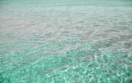 Biscay Green: il colore del mare pulito, il colore di Acqua dell\'Elba.