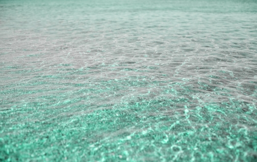 Biscay Green: il colore del mare pulito, il colore di Acqua dell'Elba.