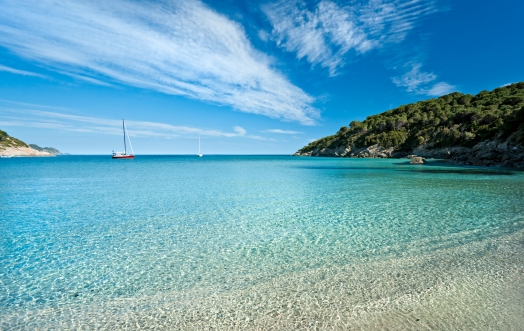 #ELBA2035: IL FUTURO NON SI PUÒ FERMARE.