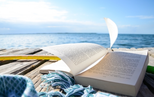 IL SILENZIO DEL MARE