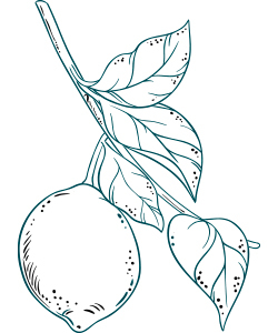 Agrumata