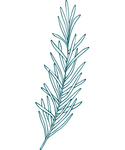 Aromatiques