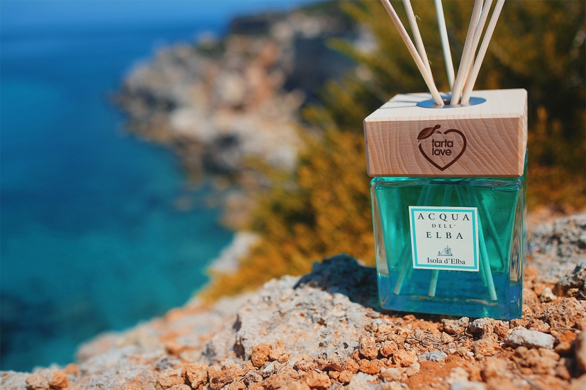 Tartalove: il progetto per la tutela delle tartarughe marine