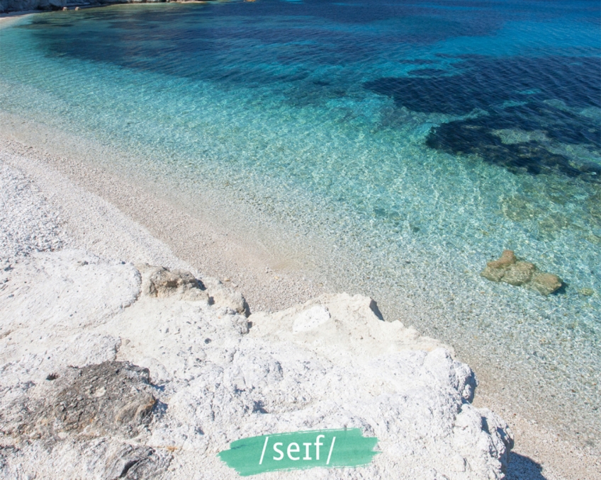 SEIF 2021: das dem Meer und seiner Schönheit gewidmete Festival kehrt zurück