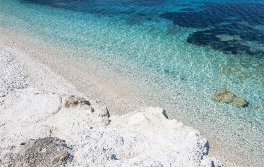 SEIF 2021: the Return of the Festival Dedicated to the Sea and Its Beauty