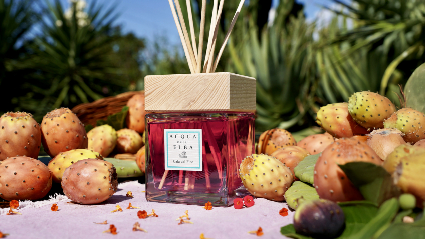 'Cala del Fico', the home fragrance for a fresh and sunny atmosphere