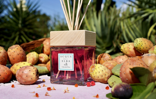'Cala del Fico', the home fragrance for a fresh and sunny atmosphere