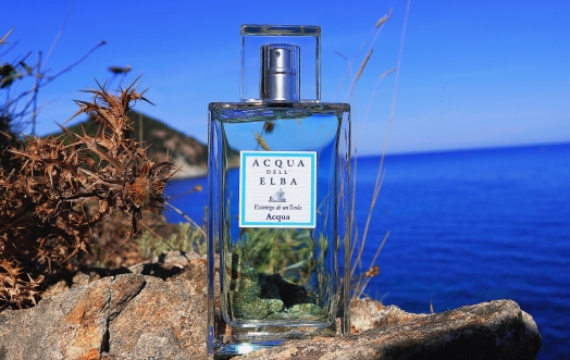 A Third Trip, A Third Story