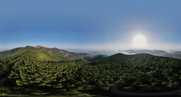 VERSO IL MANIFESTO SULLA SOSTENIBILITA’ DELL’ISOLA D’ELBA