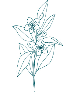 Floral