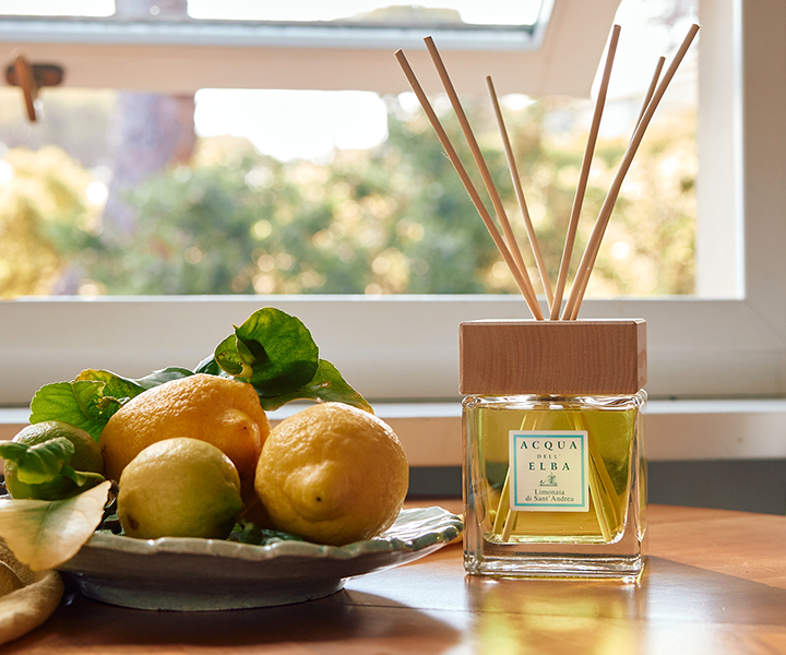 Limonaia di Sant'Andrea