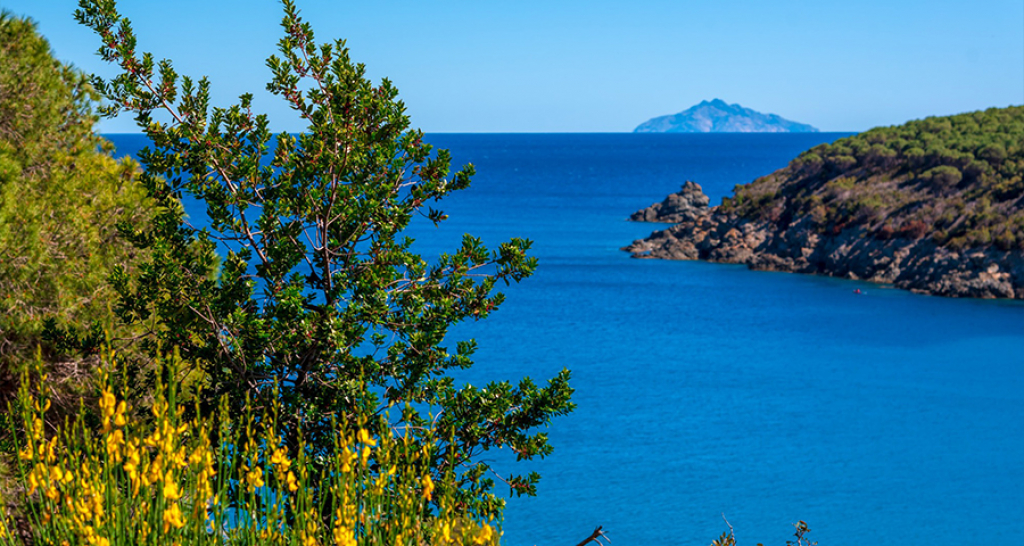 Das unmögliche Kunststück