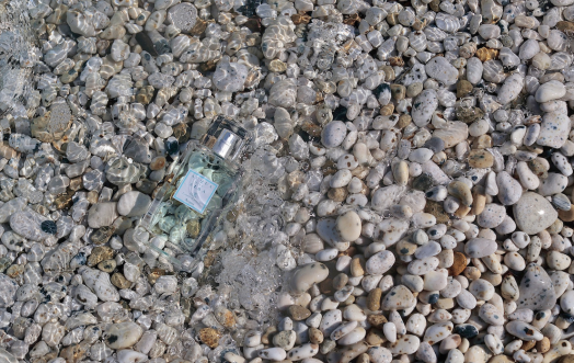 "Acqua": the unisex fragrance that unites kindred spirits