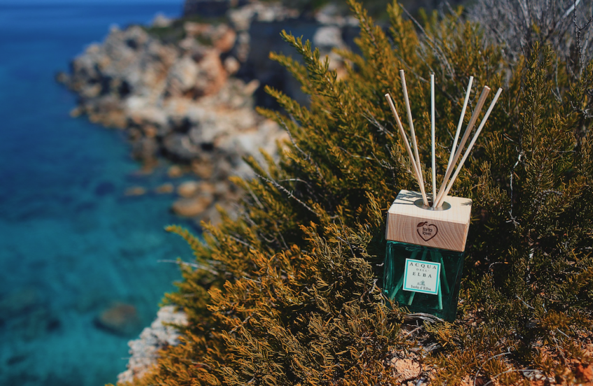 Tartabeachtour, notre initiative pour protéger les tortues marines