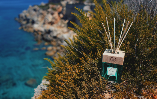 Tartabeachtour, notre initiative pour protéger les tortues marines