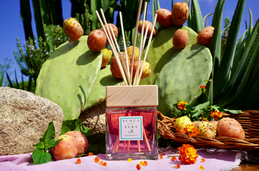 Immerse yourself in the Mediterranean atmosphere with the 'Cala del Fico' home fragrance