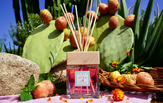 Immerse yourself in the Mediterranean atmosphere with the 'Cala del Fico' home fragrance