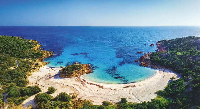 Die mediterranen Düfte „Riviera“, „Essenzamare“ und „Stella“: Erinnerungen an einen immerwährenden Sommer