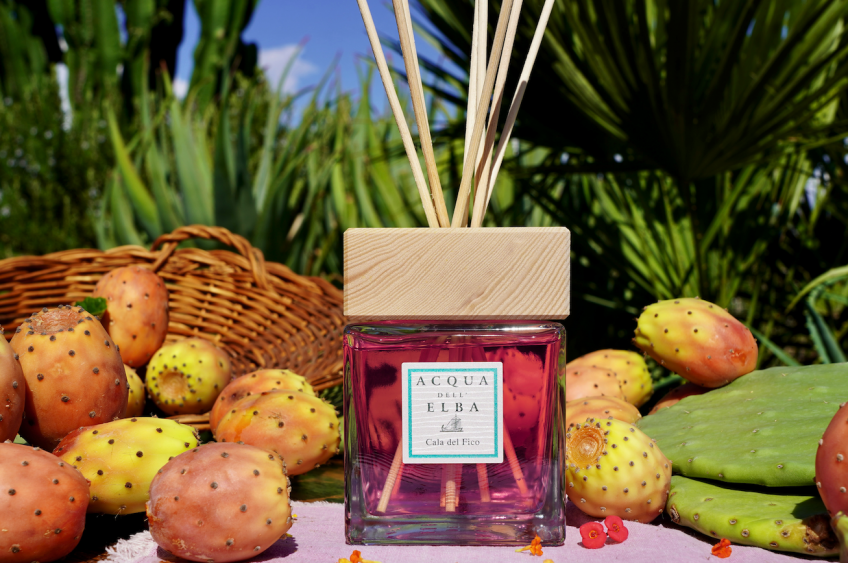Cala del Fico room fragrance, the atmosphere of a hidden bay, just for you