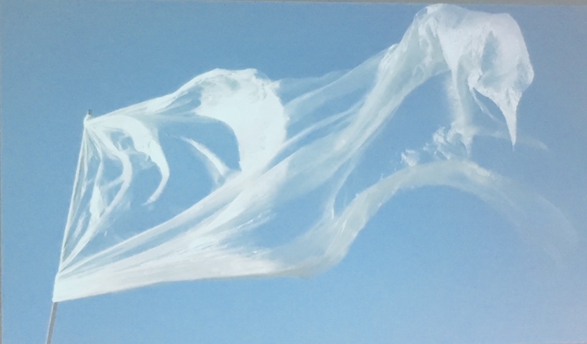 SEIF: LA BELLEZZA SALVERÀ IL MARE.