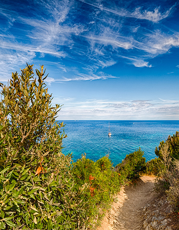 Acqua dell’Elba