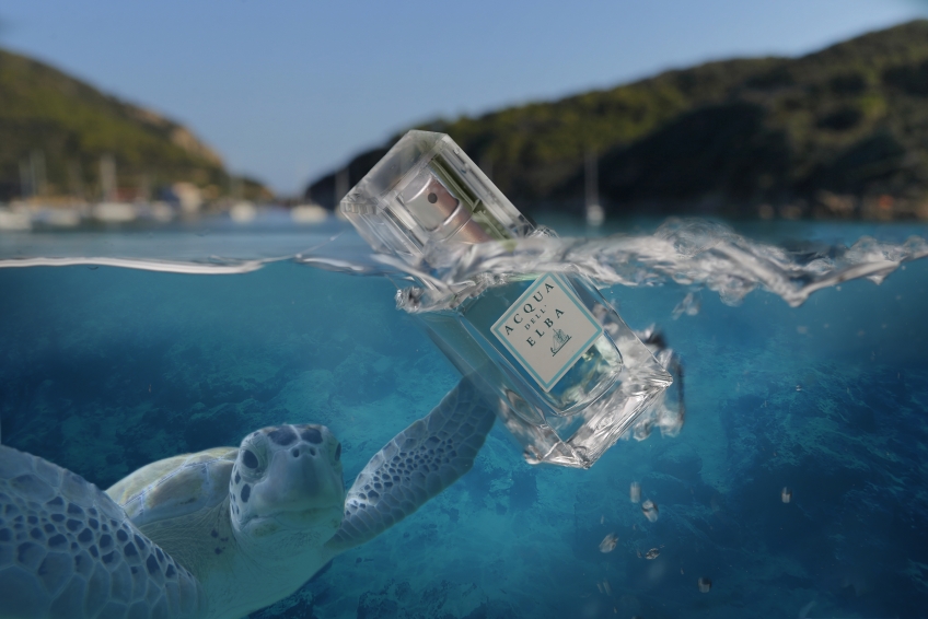 GREEN FRIDAY: TWO GIFTS FOR YOU AND ONE FOR THE SEA TURTLE “ELBA”.