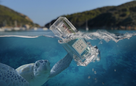 Green Friday: due regali per voi e uno per la tartaruga Elba.