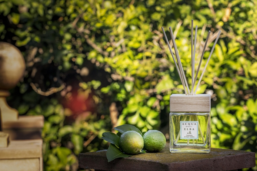 Limonaia di Sant'Andrea: profumi e colori d'autunno.