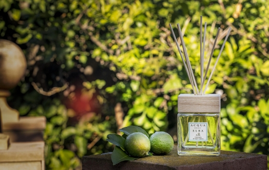 Limonaia di Sant'Andrea: profumi e colori d'autunno.