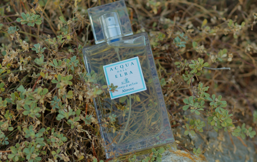 AUTUMN MAKES YOU LONG FOR “ALTROVE”.