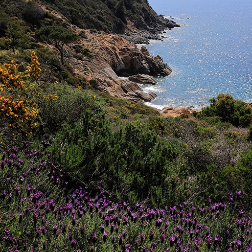 Die Via dell’Essenza
